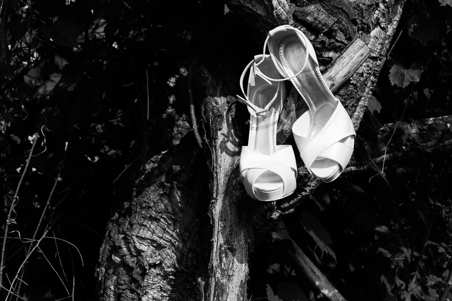 a wonderful rock'n'roll wedding full of love and lust for life
