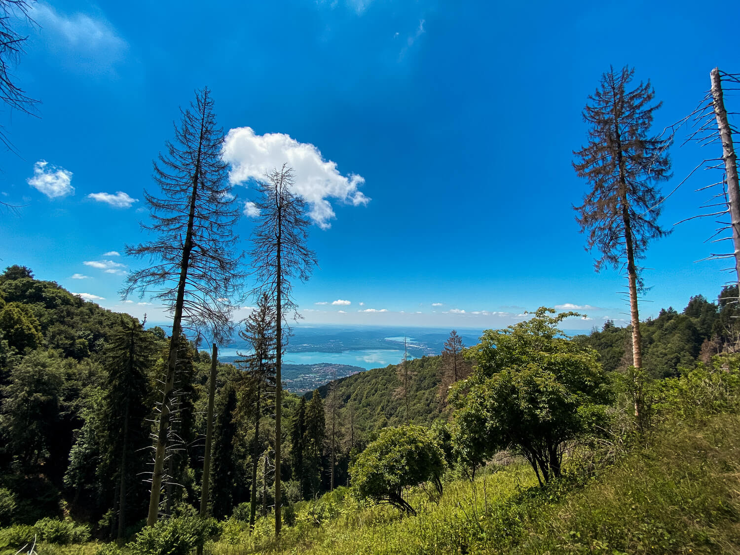 VARESE // Parco Regionale Campo dei Fiori — Samanta Tamborini