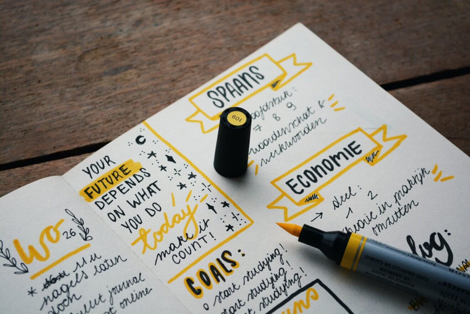 business plan
