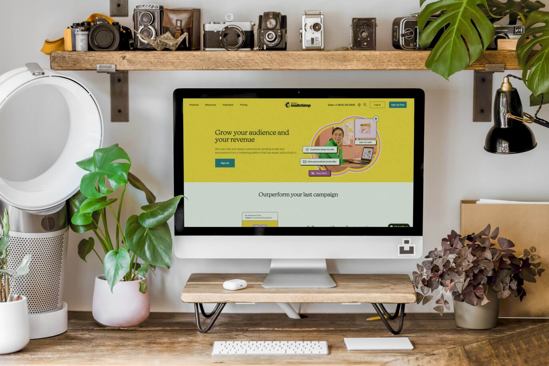 mailmarketing mailchimp