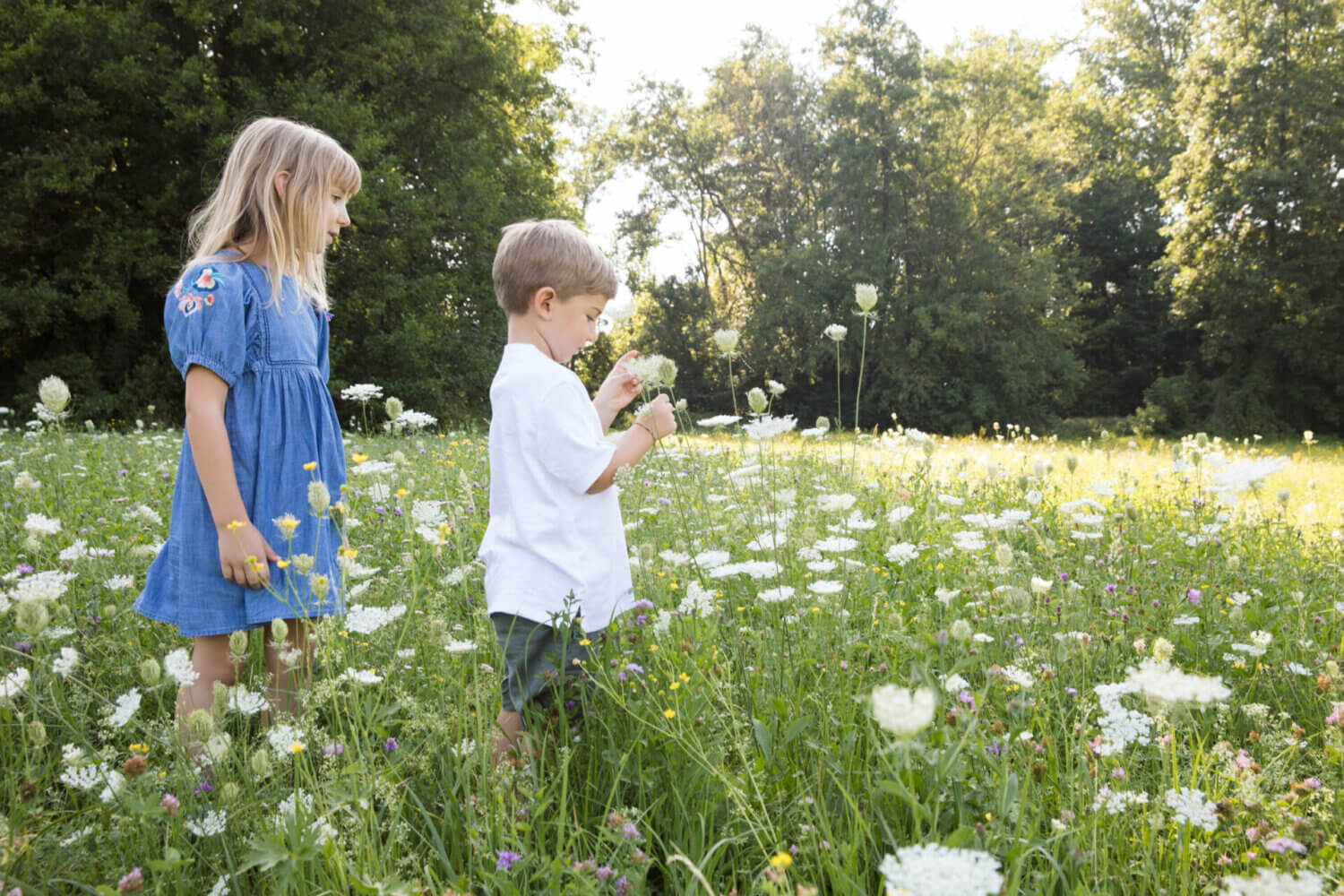 family mini session 