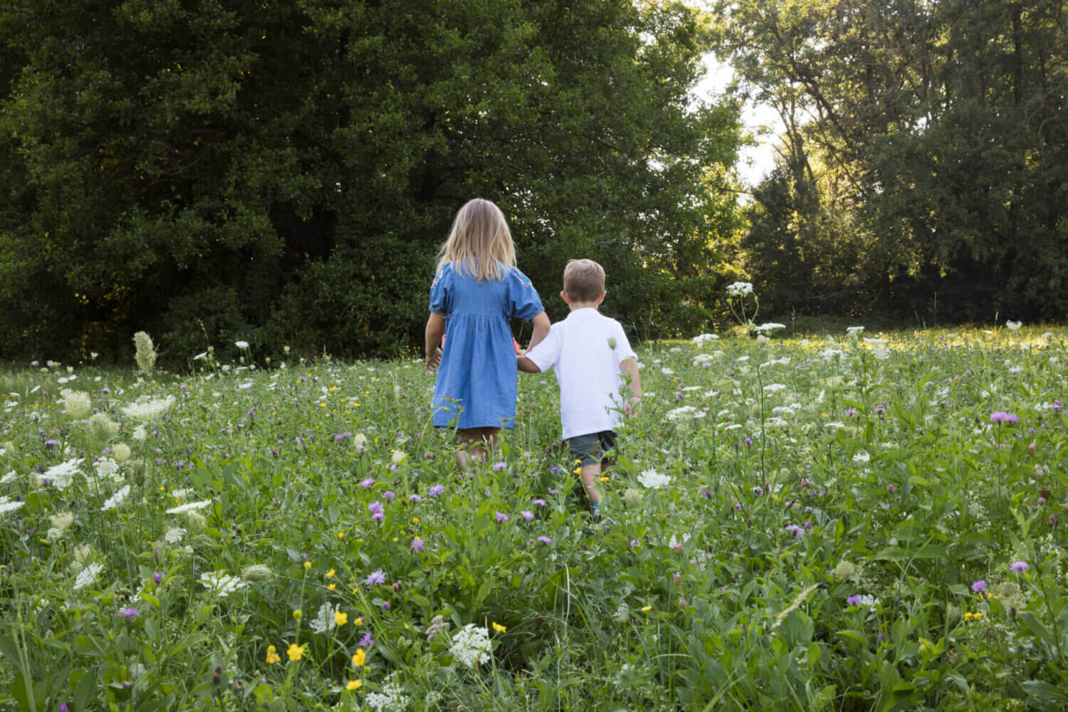 family mini session 