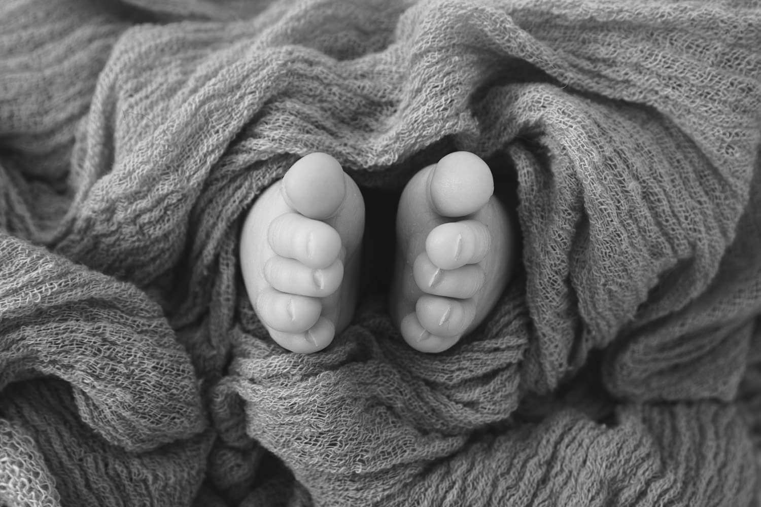 servizio newborn
