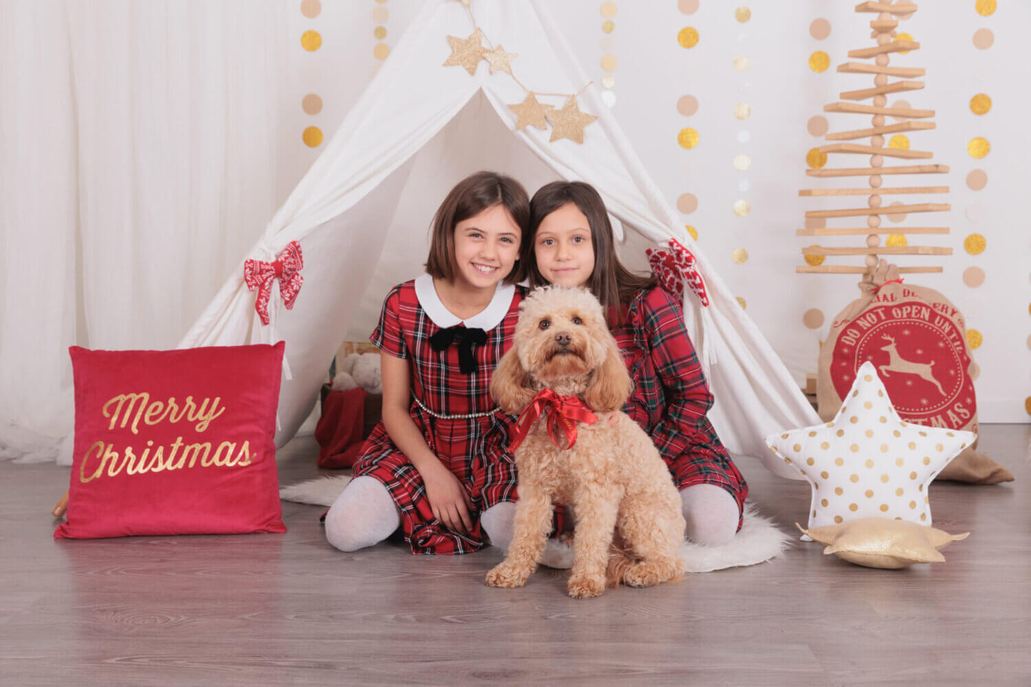 xmas minisession