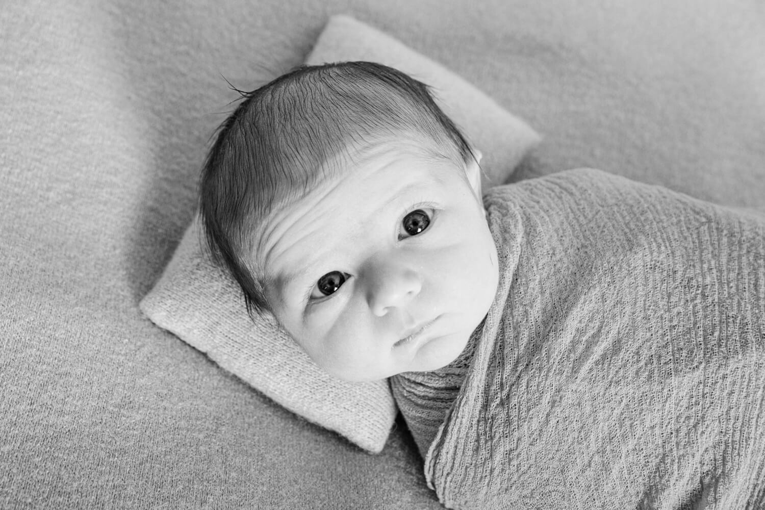 newborn