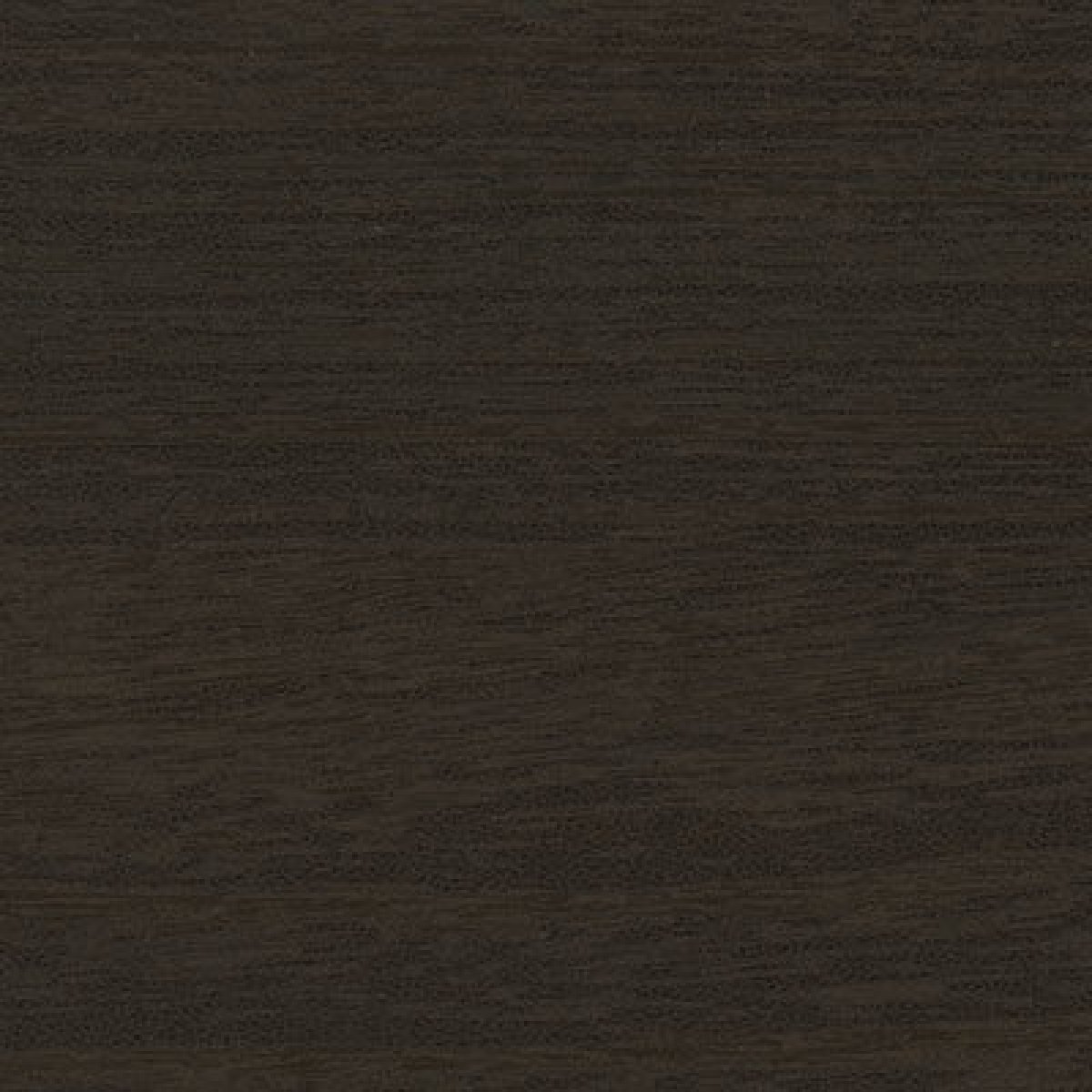 Pl05